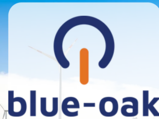 blue-oak GmbH