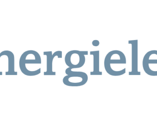 energielenker GmbH