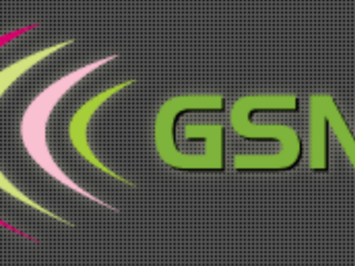 GSNE Projects GmbH