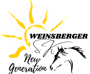 Weinsberger International Succeed UG