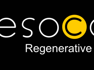 mesocon GmbH